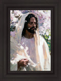 Abide