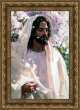 Abide
