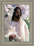 Abide