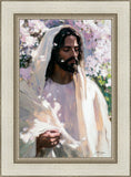 Abide