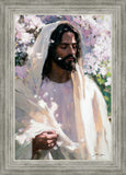Abide