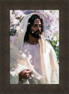 Abide
