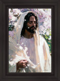 Abide