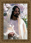 Abide