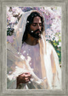 Abide