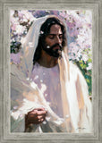 Abide