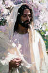 Abide