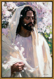 Abide