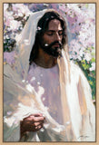 Abide