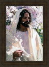 Abide