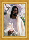 Abide