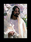 Abide