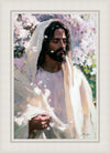 Abide