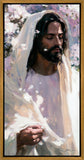 Abide