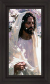 Abide