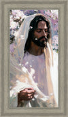 Abide