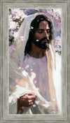 Abide
