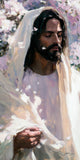 Abide