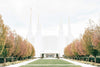 Sweet is The Work Washington DC Temple Gallery Wrap