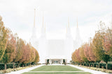 Sweet is The Work Washington DC Temple Gallery Wrap