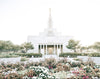 Sweet is The Work Draper Utah Temple Gallery Wrap