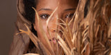 Bless These Palms and Make Them Holy Gallery Wrap