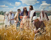 Lord of the Sabbath Gallery Wrap