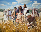 Lord of the Sabbath Gallery Wrap