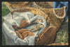 Five and Two Gallery Wrap