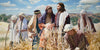 Lord of the Sabbath Gallery Wrap