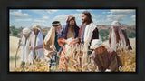 Lord of the Sabbath Gallery Wrap