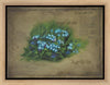 Forget Me Not Gallery Wrap