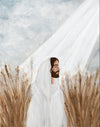 The Good Seed Gallery Wrap
