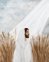 The Good Seed Gallery Wrap