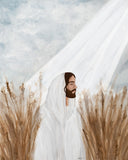 The Good Seed Gallery Wrap