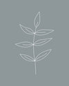 Minimalist Leaves Blue Gallery Wrap