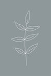 Minimalist Leaves Blue Gallery Wrap
