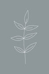 Minimalist Leaves Blue Gallery Wrap