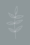 Minimalist Leaves Blue Gallery Wrap