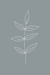 Minimalist Leaves Blue Gallery Wrap