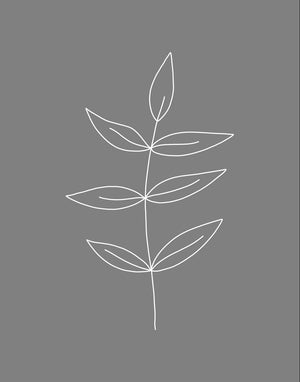Minimalist Leaves Gray Gallery Wrap