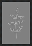 Minimalist Leaves Gray Gallery Wrap