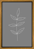 Minimalist Leaves Gray Gallery Wrap