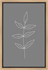 Minimalist Leaves Gray Gallery Wrap