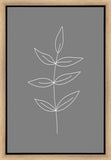 Minimalist Leaves Gray Gallery Wrap