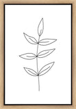 Minimalist Leaves White Gallery Wrap