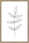 Minimalist Leaves White Gallery Wrap