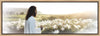 Consider The Lilies Gallery Wrap
