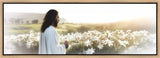 Consider The Lilies Gallery Wrap