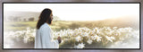 Consider The Lilies Gallery Wrap